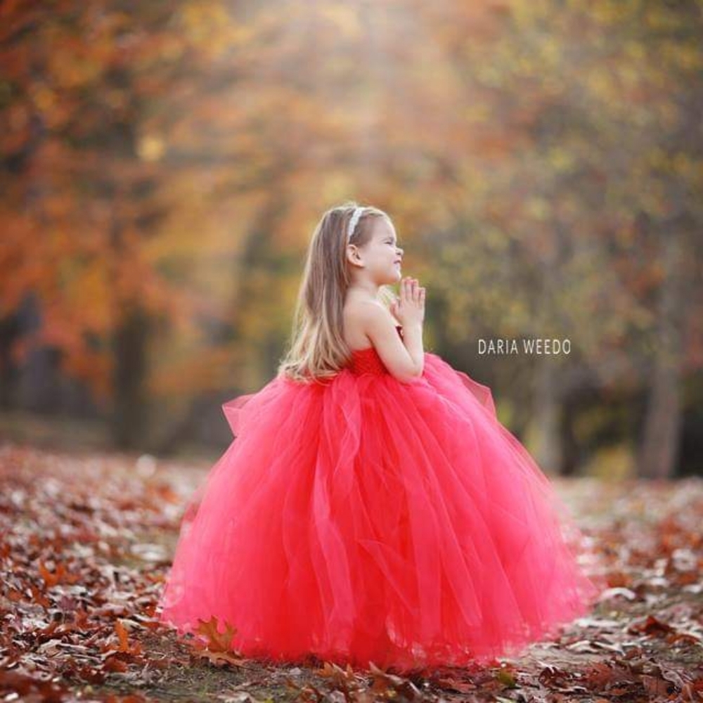 RED TODDLER 4T TULLE GOWN